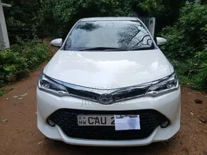 Toyota Axio WXB 2017 Car (Used)