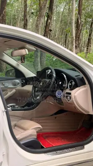 Mercedes-Benz C350e 2016 Car (Used)