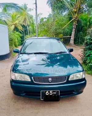 Toyota Corolla 1999 Car (Used)