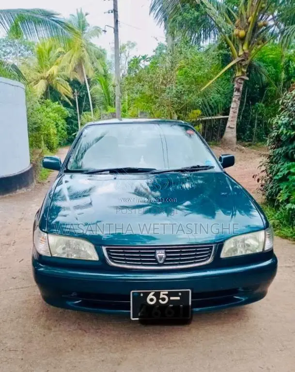 Toyota Corolla 1999 Car (Used)