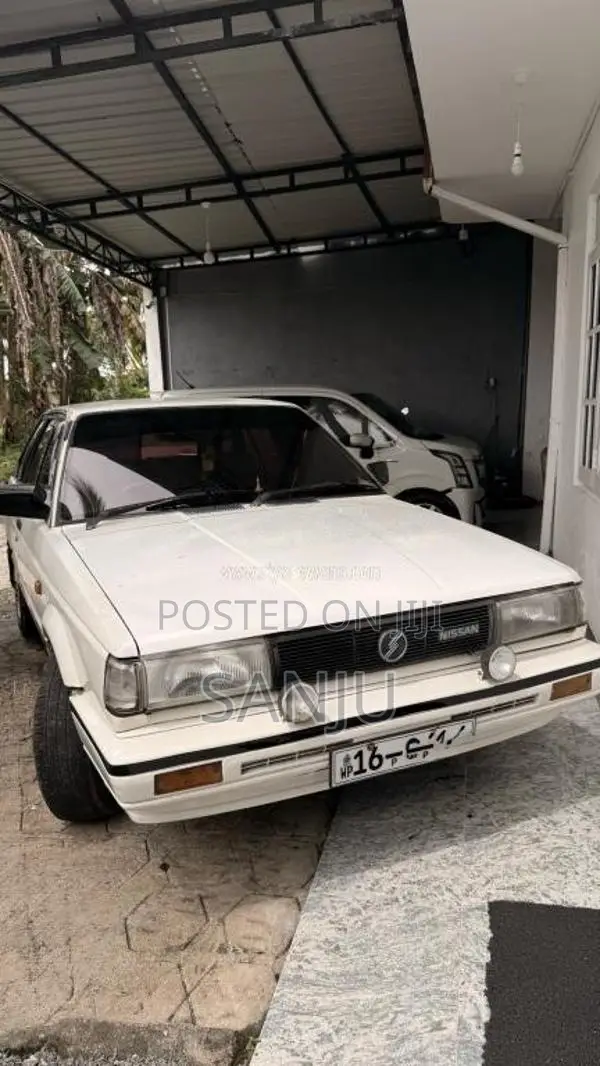 Nissan Trad Sunny 1987 Car (Used)