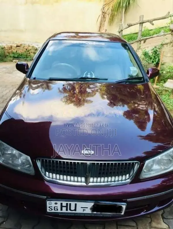 Nissan N16 Bluebird Sply 2000 Car (Used)