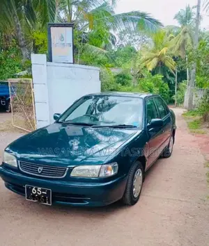 Toyota Corolla 1999 Car (Used)