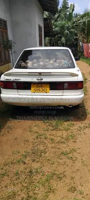 Nissan Doctor Sunny 1994 Car (Used)
