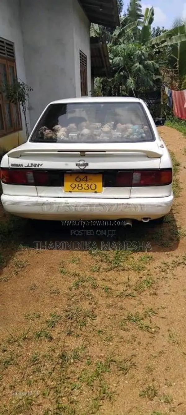 Nissan Doctor Sunny 1994 Car (Used)