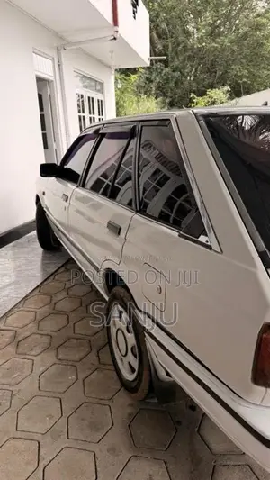 Nissan Trad Sunny 1987 Car (Used)