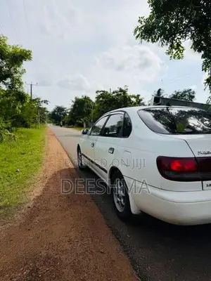 Toyota Premio 1995 Car (Used)