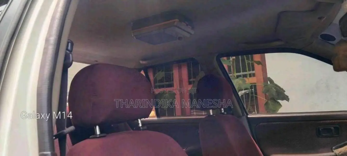 Nissan Doctor Sunny 1994 Car (Used)