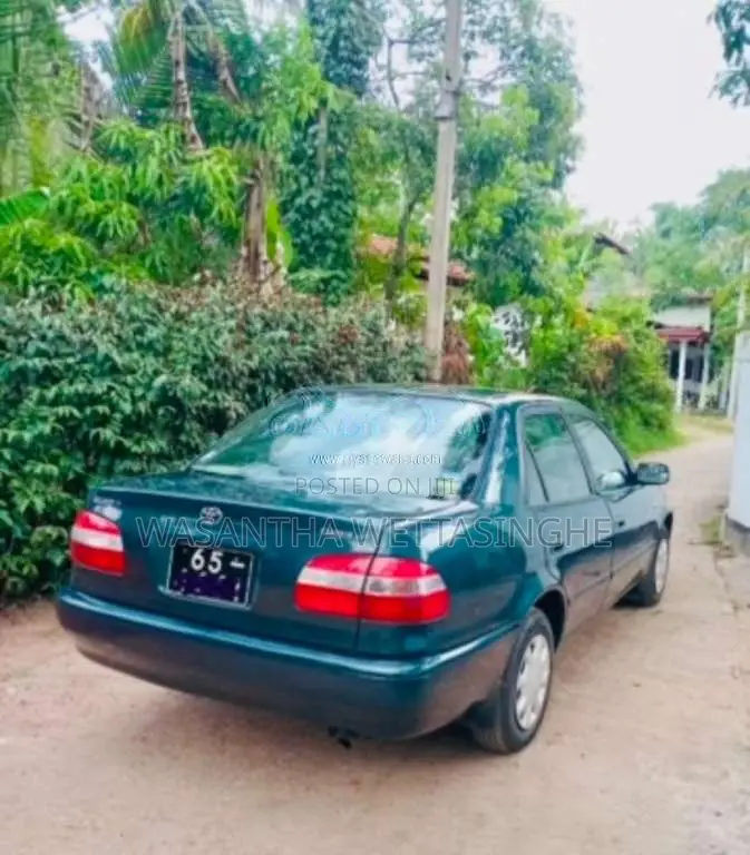 Toyota Corolla 1999 Car (Used)