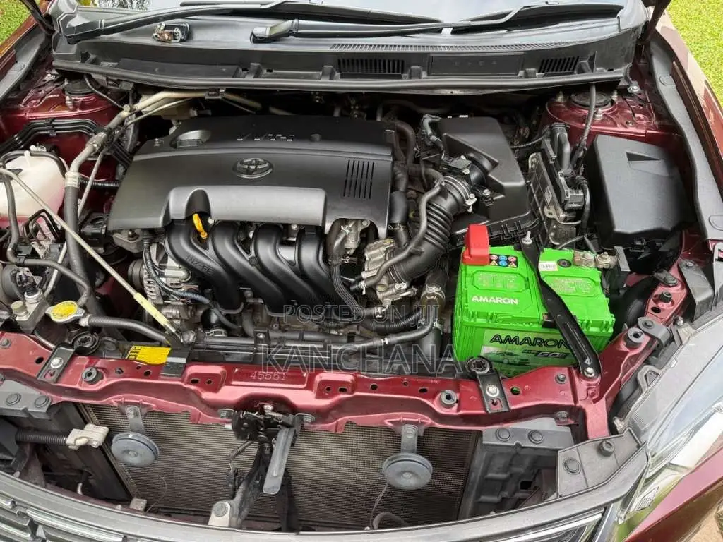Toyota Premio 2017 Car (Used)