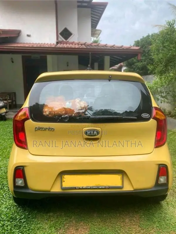 Kia Picanto 2016 Car (Used)