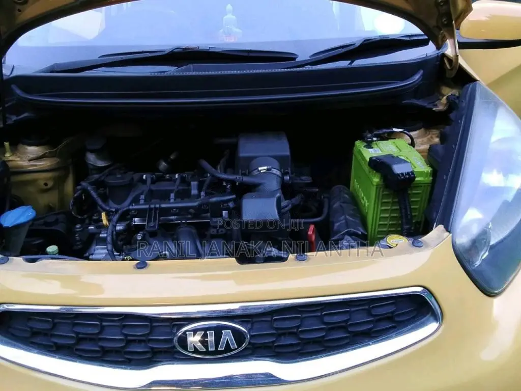 Kia Picanto 2016 Car (Used)