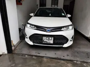 Toyota Axio 2019 Car (Used)