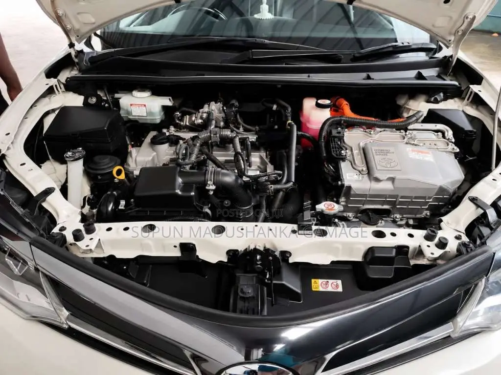 Toyota Axio 2019 Car (Used)