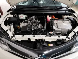 Toyota Axio 2019 Car (Used)