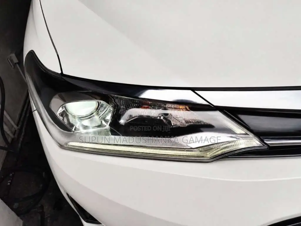 Toyota Axio 2019 Car (Used)