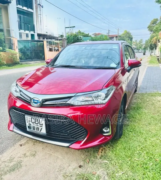 Toyota Axio 2020 Car (Used)