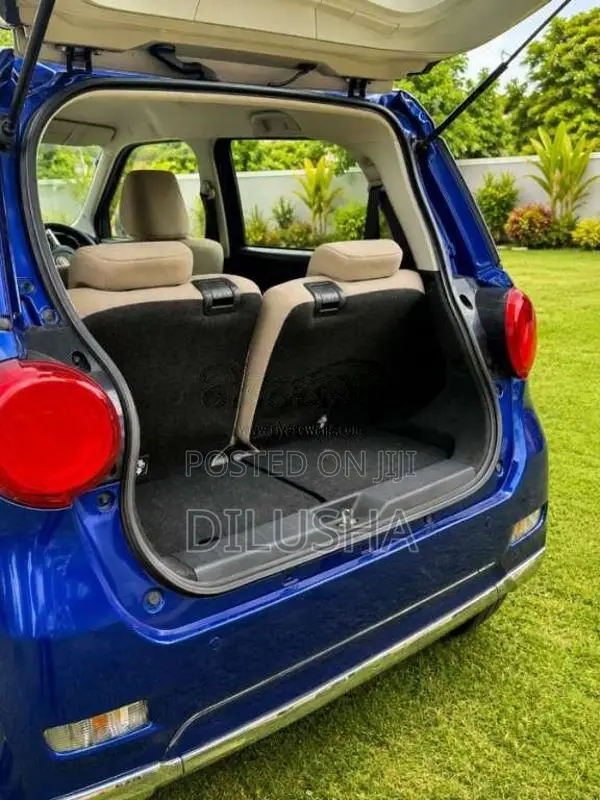 Daihatsu Cast 2018 Car (Used)