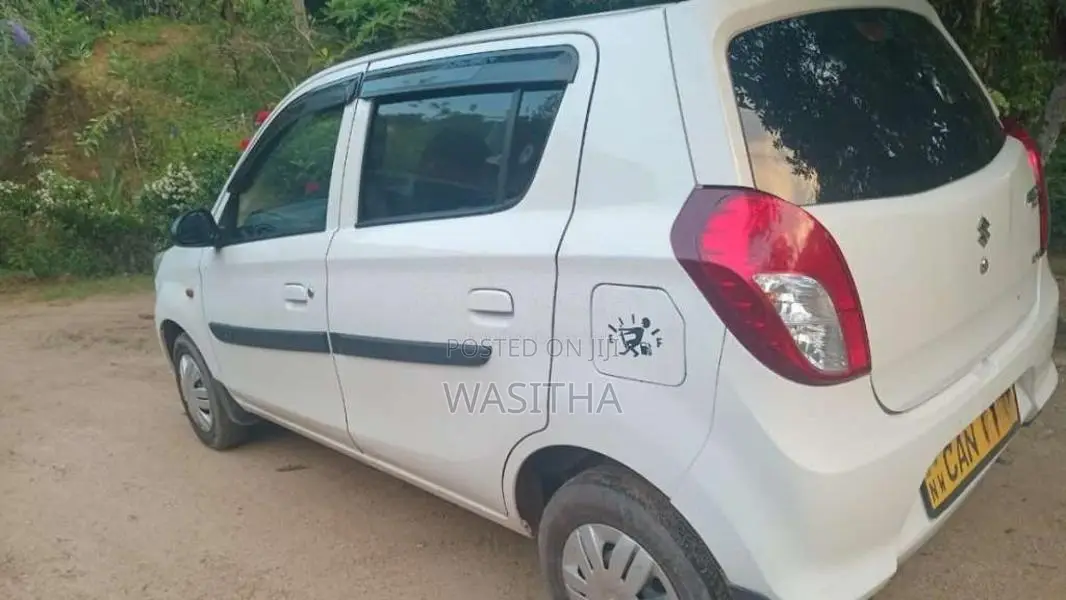 Suzuki Alto 2015 Car (Used)
