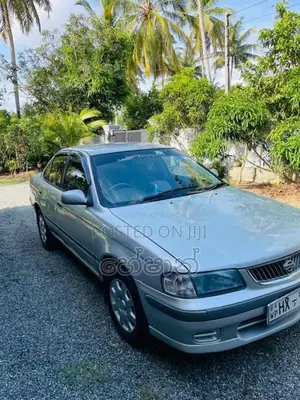 Nissan B15 2004 Car (Used)