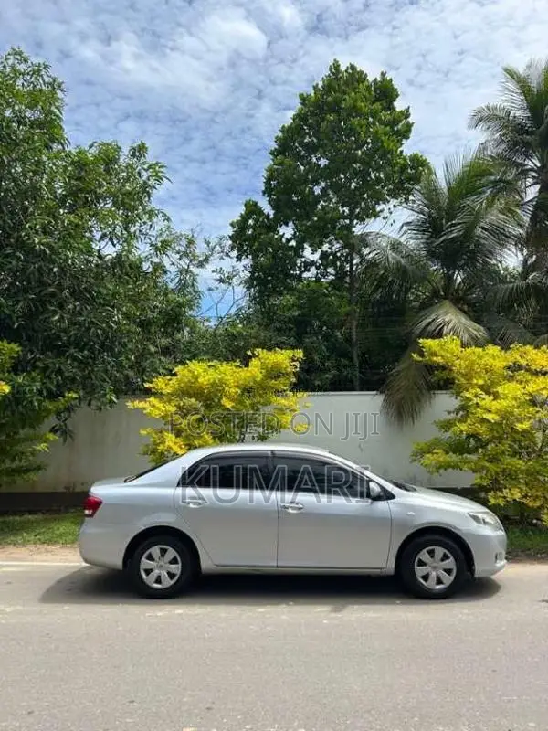 Toyota Axio 2010 Car (Used)