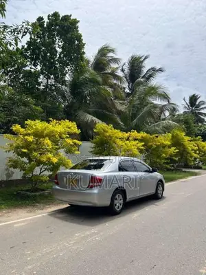 Toyota Axio 2010 Car (Used)