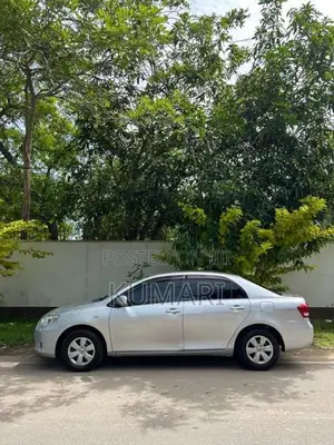 Toyota Axio 2010 Car (Used)