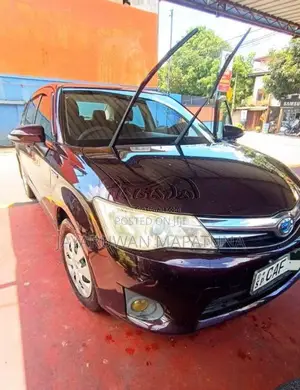 Toyota Axio 2015 Car (Used)