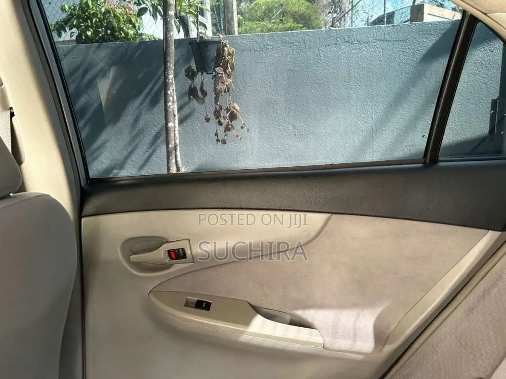 Toyota Axio 2010 Car (Used)