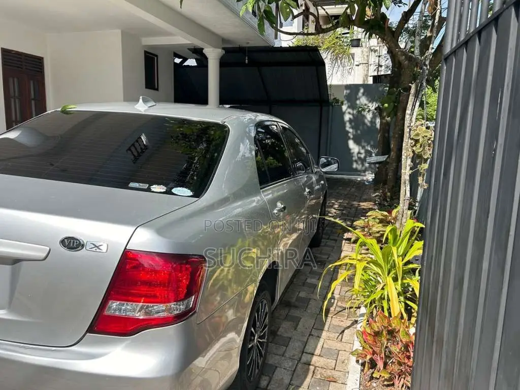Toyota Axio 2010 Car (Used)
