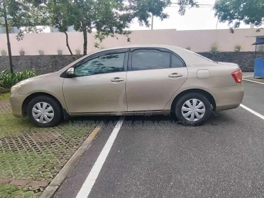 Toyota Axio 2010 Car (Used)