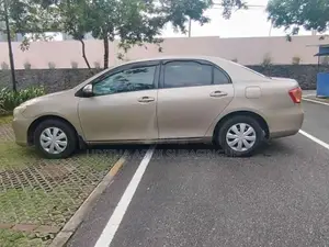 Toyota Axio 2010 Car (Used)