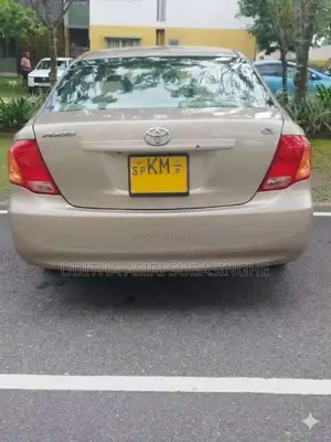 Toyota Axio 2010 Car (Used)