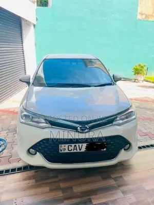Toyota Axio 2017 Car (Used)