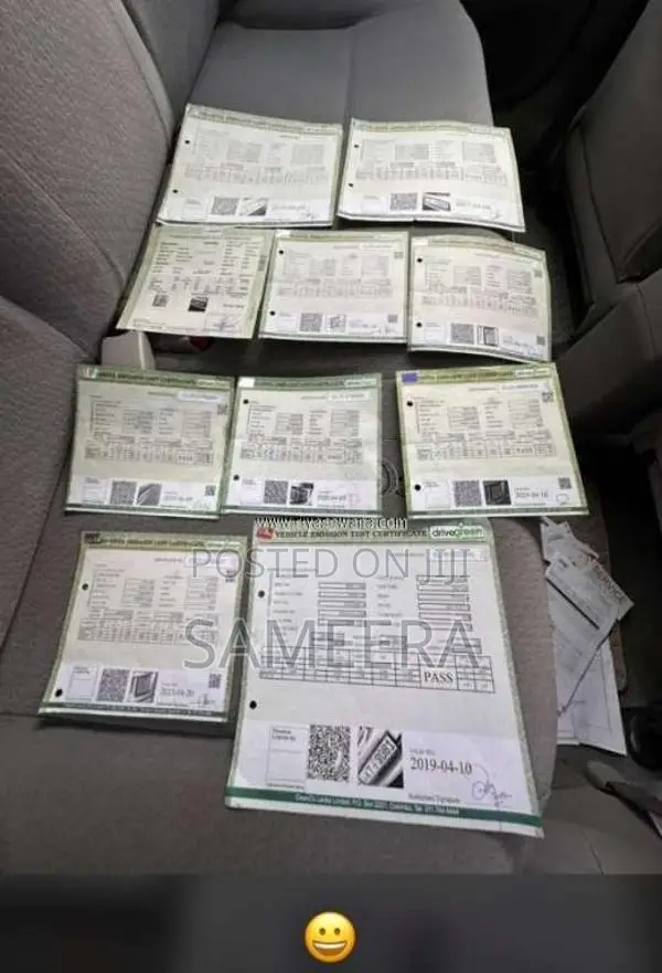 Toyota Axio 2010 Car (Used)