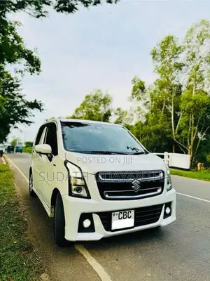 Suzuki Wagon R 2018 Car (Used)