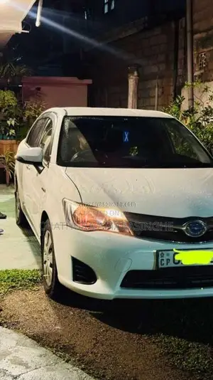 Toyota Axio 2015 Car (Used)