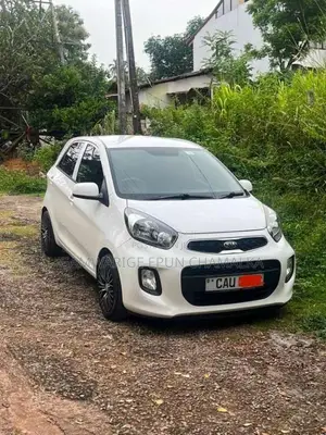 Kia Picanto 2016 Car (Used)