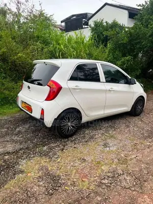 Kia Picanto 2016 Car (Used)