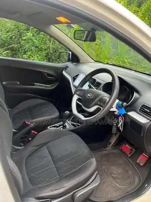 Kia Picanto 2016 Car (Used)