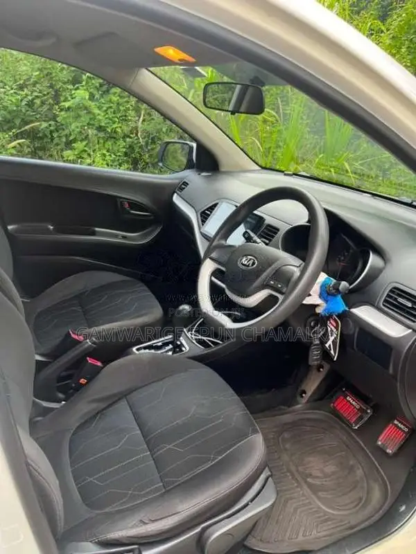Kia Picanto 2016 Car (Used)