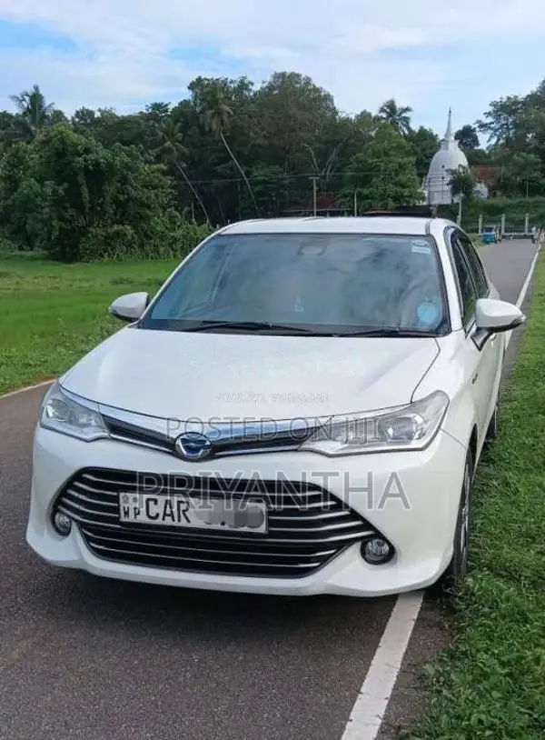 Toyota Axio G Grade 2015 Car (Used)