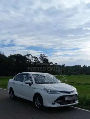 Toyota Axio G Grade 2015 Car (Used)