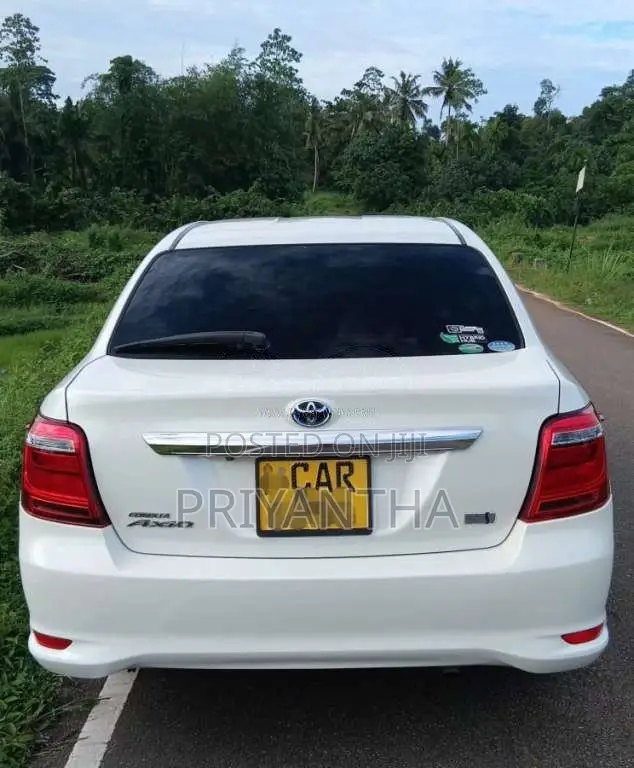 Toyota Axio G Grade 2015 Car (Used)