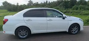 Toyota Axio G Grade 2015 Car (Used)