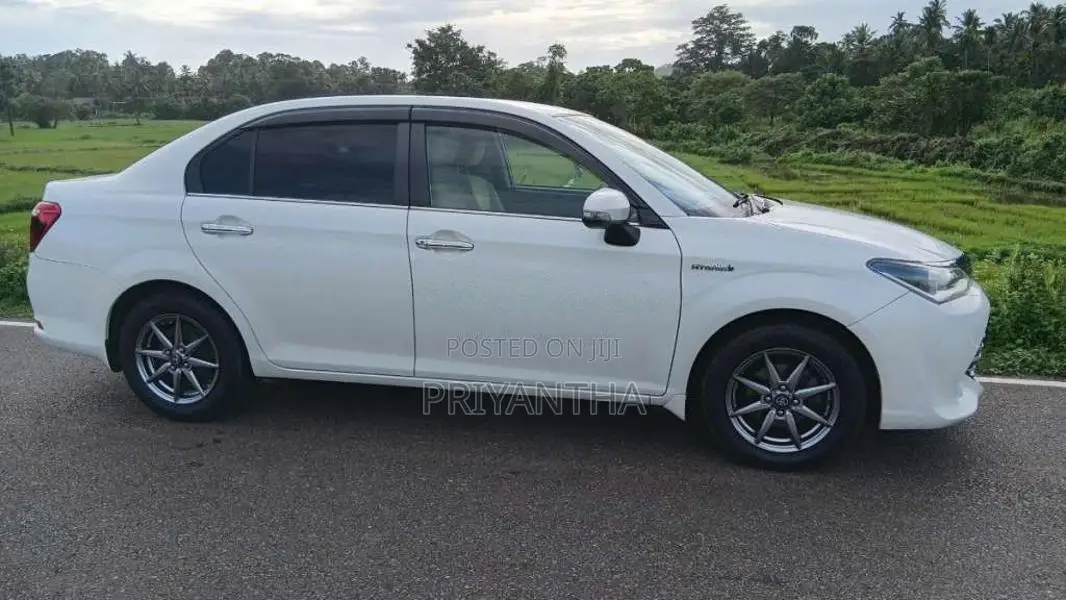 Toyota Axio G Grade 2015 Car (Used)