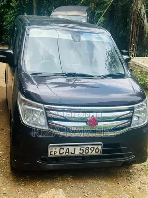 Suzuki Wagon R 2014 Car (Used)