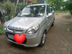 Suzuki Alto 2015 Car (Used)