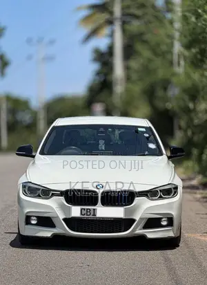 BMW 318i 2017 Car (Used)