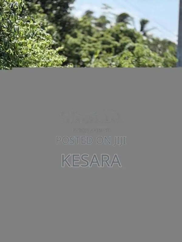 BMW 318i 2017 Car (Used)